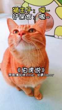 谁能想到一只猫居然翻唱了外国小姐姐原唱的国风戏腔歌曲