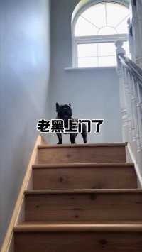 老黑上门了#搞笑配音