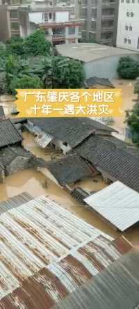 广东肇庆各个地区十年一遇大洪灾，场面非常凄惨。