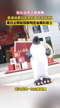 明星大娱乐：企鹅现身街头跳舞，到底是谁在说黑白配色都不聪明的，这不挺厉害#企鹅#科目三#企鹅舞