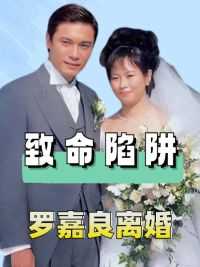 2008年罗嘉良对方敏仪提出离婚：只要你同意我净身出户，没想到竟用豪宅给原配挖了一个致命陷阱#罗嘉良 #苏岩 #明星人物传 #方敏仪 #娱乐圈大盘点