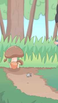 采蘑菇前为什么要拍两下？ 