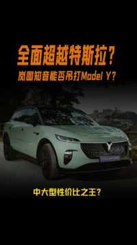 售价20万吊打特斯拉？岚图知音能否全面超越ModelY？