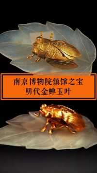 估值9亿的金蝉玉叶，现在成为南京博物院镇馆之宝！#文物 #金枝玉叶 #考古发掘