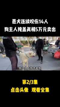 恶犬连续咬伤14人，狗主人掩盖真相准备5万元卖出，却被当场揭穿#恶犬 #中亚犬 #奇闻异事 