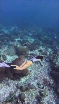 #快来QQ短视频投稿 #潜水女孩 发现了一只孤独的鱼。