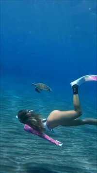 #祝我们都赢在六月 #潜水女孩 #海龟 
与海龟同行。