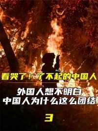 了不起的中国人，外国人想不明白，中国为何有这么强的凝聚力#看哭了#了不起的中国人#重庆山火#众志成城 (3)


