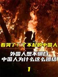 了不起的中国人，外国人想不明白，中国为何有这么强的凝聚力#看哭了#了不起的中国人#重庆山火#众志成城 (1)


