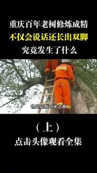 重庆百年老树修炼成精，不仅会说话还长出双脚，究竟发生了什么？ (1)