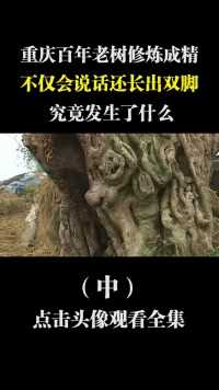 重庆百年老树修炼成精，不仅会说话还长出双脚，究竟发生了什么？ (2)