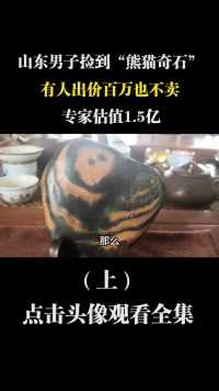 山东男子捡到“熊猫奇石”，有人出价百万也不卖，专家估值1.5亿 (1)