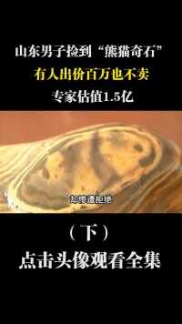 山东男子捡到“熊猫奇石”，有人出价百万也不卖，专家估值1.5亿 (3)