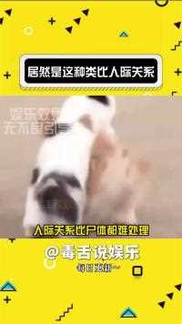 好抽象的形容方式