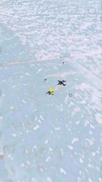在南极荒无人烟的冰原上发现了两架飞机，难道是被迫才降落在那里的吗？ 