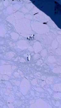 在南极附近的一个荒岛上侧翻着一艘被冰雪覆盖的巨轮！ 