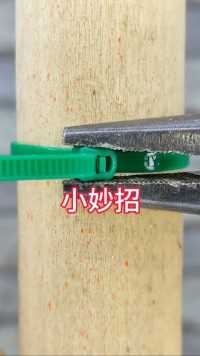 大家一般遇到这种扎带都会选择用刀片割掉其实只需要用钳子夹一下这个扎带就可以循环使用 #小妙招大作用.
