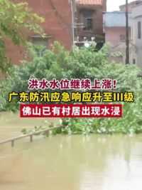 6月17日，洪水水位继续上涨！广东防汛应急响应升至Ⅲ级，佛山已有村居出现水浸！（佛山市新闻传媒中心记者何满灿 黄葵向）#注意安全