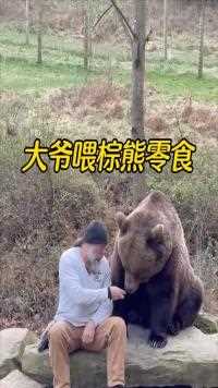 俄罗斯大爷喂棕熊吃零食，你大爷还是你大爷！