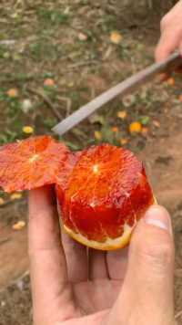 这样的血橙，有喜欢吃的吗？❤️➕带你吃最纯的原产地水果