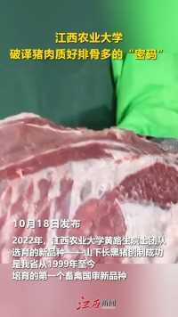 江西农业大学：破译猪肉质好排骨多的“密码”