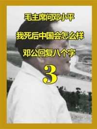 毛主席问邓小平：“我死后中国会怎么样？”邓工8个字的回答令主席十分满意！（下）