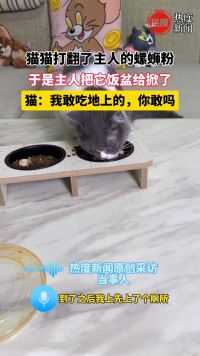 猫猫打翻了主人的螺蛳粉，于是主人把它饭盆给掀了，猫：我敢吃地上的，你敢吗