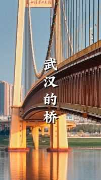 映像武汉丨武汉的桥