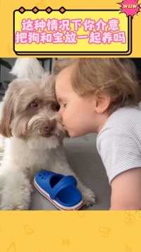 这种情况下你介意把狗和宝放一起养吗！