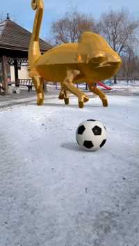 踢球解封雪地变色龙金像