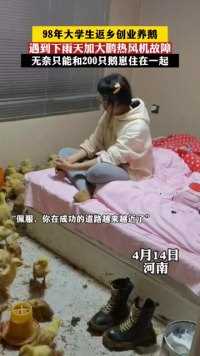 #做自己的光不需要太亮 #祝所有的考试都上岸 98年大学生返乡创业养鹅