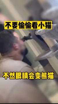 不要偷偷看小猫不然眼睛会变熊猫人间奇趣记录仪