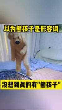 以为熊孩子是个形容词没想到是真有“熊孩子”……人类幼崽迷惑行为大赏 意不意外