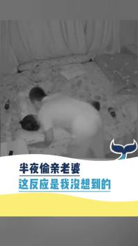半夜偷亲老婆这反应我是没想到的人间奇趣记录仪
