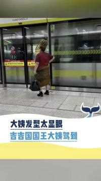 大姨发型太显眼吉吉国王大姨驾到人间奇趣记录仪