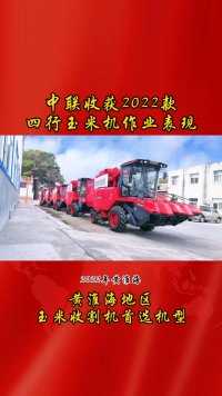 中联收获2022款四行玉米机作业展现#玉米收割机#收割机#玉米@CHMC中联收获