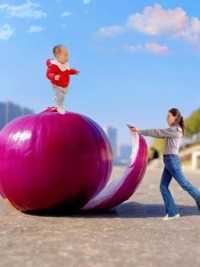 洋葱创意照这样拍太美了