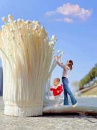 金针菇这样拍太好看了吧