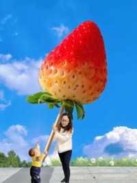 好大一颗草莓抱回家