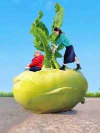 5秒教你家里的蔬菜怎么拍创意照