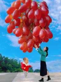 这样摘葡萄太好玩了