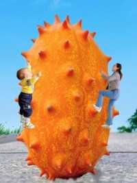 这么漂亮的水果就得拿来拍个照