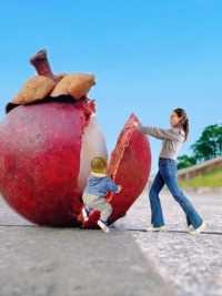 山竹这么拍太美了