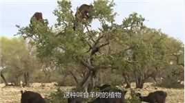 #萌知计划#社会#幽默#民生 