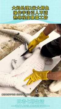 大妈处理米大鳄鱼操作手法引人不适熟练程度暴露工龄
