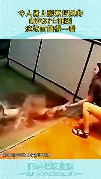 令人肾上腺素狂飙的鳄鱼亡翻滚这场面值得一看