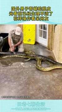 国外男子帮蟒蛇脱皮光看就已经生理不适了花样操作看呆网友