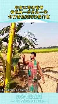 印度三哥切香蕉看似每一步多此一举外行看热闹内行看门道