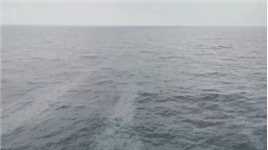 渔船沉没，海南多部门联合成功救助6名落水渔民
