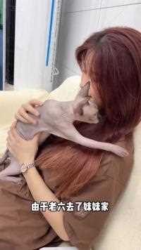 不要再叫我大舅子了！要看老六和妹妹的去关注她呀！